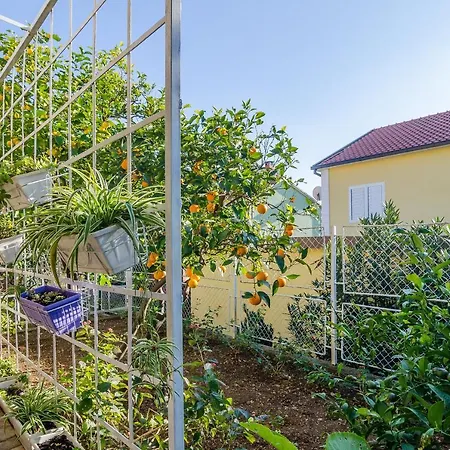 House Marko Holiday home Orebic